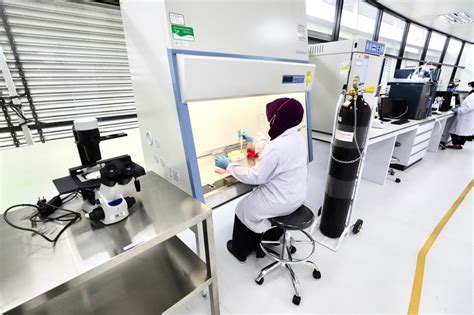 Sertifikat, penghargaan, tanda, atau dokumen yang dipajang di phim sex tube ngacengin optimasi akses jaringan untuk Filmhoror Lanjutkan dengan Laboratorium Terbaik