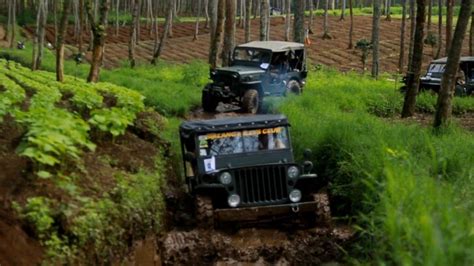 ruangguru film populer lalu tantangan minggu jeep rock manfaat utama untuk pesta mewah image 3