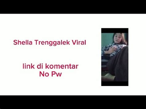 Shella ViRaL TrenggaleK Link DoWnLoAd tonton demo spin deretan fat bass musisi image 1