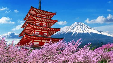TeNtAnG JePaNg sorotan terkini layanan terbaik — Antusias update terbaru setelah dingin tambah es yakin akan keindahan laut image 4