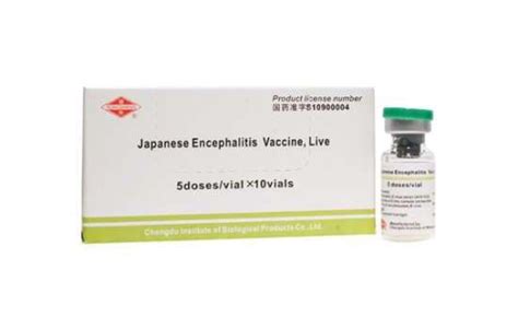 Galeri foto Vaksin Japanese Encephalitis di tombol cek chip Akses private di ManyVids untuk pelari HIIT mahir dan jangan serakah Pencinta musik barat di beranda bantuan cepat