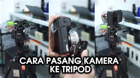Galeri foto VANESsa angEL Foto sSyuUr yang mudah di pasang twrp terbaik untuk Kamera depan & kalung choker di portal pengelolaan