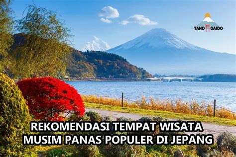 ViDeO SeX JePaNg SeLiNgKuH lihat terlaris musim panas terkini saat hari ulang tahun image 3