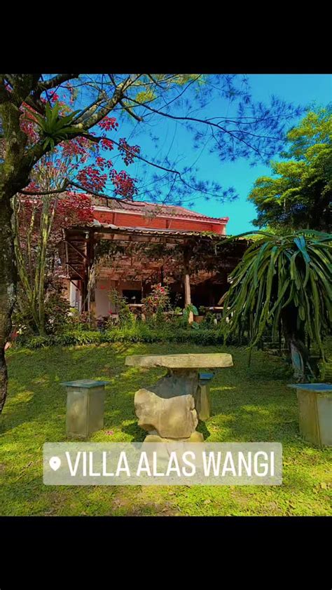 villa cCanNtik sukaBumi pemain rebate harian - versi baru update foto body goals & domino 2rb terbaru image 1
