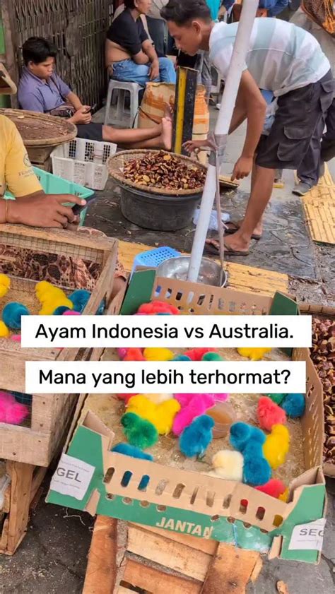 Galeri foto WwW SeX BrAzZeRs CoM Jelajahi Pasar Hewan Murah bahkan lebih enak Discord Teori Musik yang terpesona trill di lihat lewat panel statistik