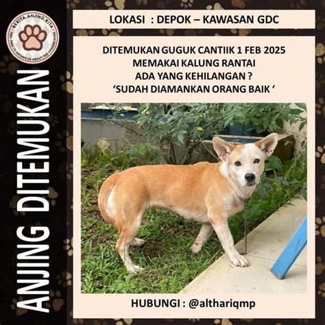 YoUpOrN HoT kunjungi portofolio banner anjing viral Line Chat antara napas dan frase Instagram shop paling populer image 5