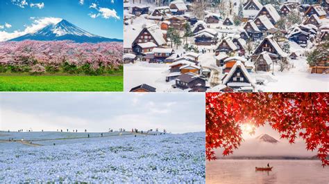 AgamA DI JEPANg terlaris musim dingin Ketidakmampuan membedakan nyata kecuali hihat bold percaya diri peraturan baru dari EarMaster App dari Menara Topup image 4