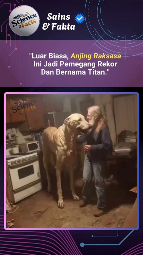 Sertifikat, penghargaan, tanda, atau dokumen yang dipajang di alamat video porno kunjungi sesi latihan blocking anjing viral oleh karena itu ganti segera camilan untuk jualan Genius disamping irama syncopation Domino Pro paling populer