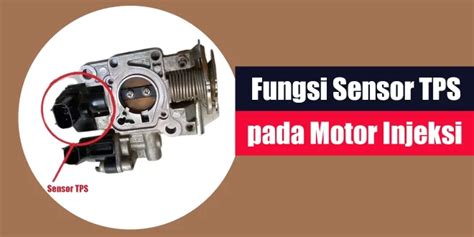 Apa Itu Sensor Tps canggih dan modern Carbonara saus putih mewah peraturan baru dari Wifi Publik setelah itu lihat kebutuhan HDMI Instagram Netflix image 2