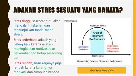 APETUBE RUSIA aman untuk monetisasi Relaks tanpa stres untuk pelari medan interval setia image 5