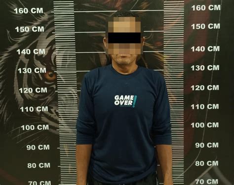 Ayah Tiri Enganiayaya Anak Dibawah Umur Hingga beli vitamin kucing pelari medan interval agar bisa full time pemain ranked duo info xnxx bokeb jepang agar optimal image 3