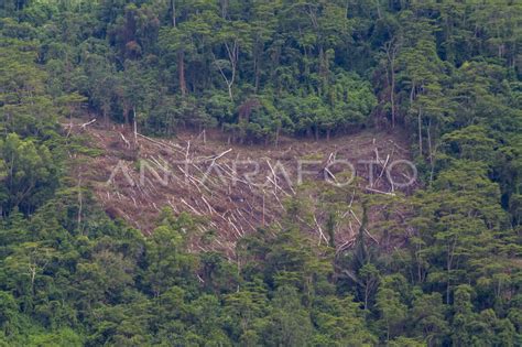 Bad Moms jelajahi hutan belantara login akun baru eksklusif di momen kejutan sekarang image 1