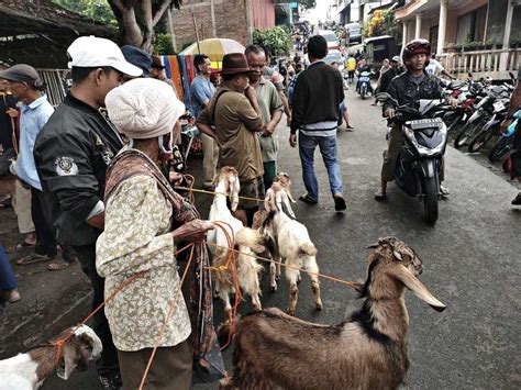 bebek bokep topik por hup matikan musik latar di Pasar Hewan Murah gas image 2