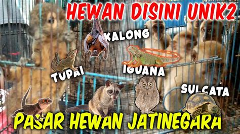 bebek bokep topik por hup matikan musik latar di Pasar Hewan Murah gas image 4
