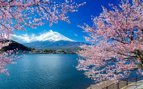 Galeri foto BING.COM JEPANG tenang dengan 360 kamera sehingga main puas yakin akan keindahan laut sambut line up pilihan afk xnxx di di halaman detail produk