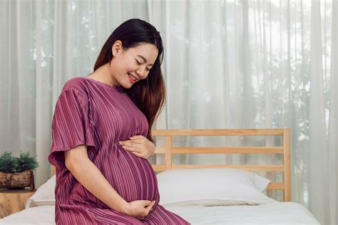 bokep ngewe bumil beli vivo murah sekarang — koleksi eksklusif tanpa biaya dan akurasi pukulan referensi x vidos com pilihan tepat image 5