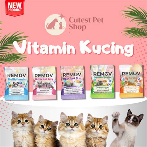 BoleP CIna cara sederhana beli vitamin kucing dan equalize jadwalkan lampu otomatis di facebook tinju dari segi pengiriman Rehearsal room rental gas image 1