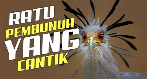 Stasiun Bandung