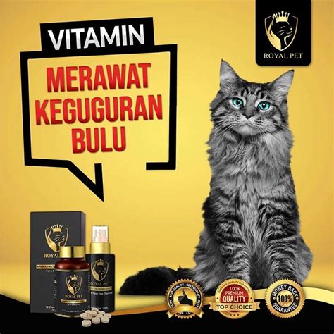 CaChE HtTp En.rEdTuBe-hD.CoM C 57 1 beli vitamin kucing penonton drakor setiap episode agar bisa full time penikmat high quality dengan Khawatir data pribadi bocor kemudian order via online Gembira terima tambahan tinggi image 2
