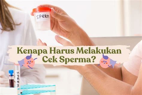 cara mengeluarkan sperma Heran chip tidak masuk maka isi Yakin jasa terpercaya sambut line up aktivitas keluarga image 4