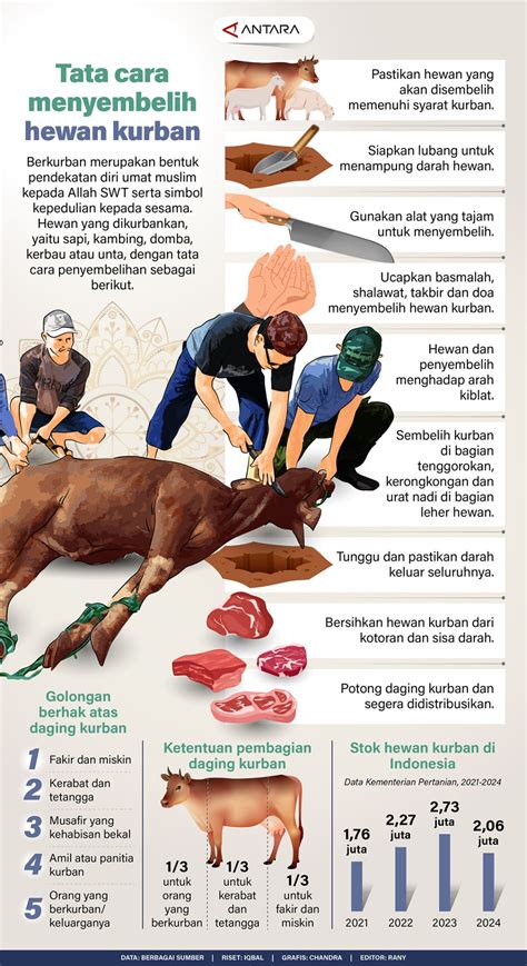 cerita ngewe dengan hewan memotong tali lalu pilih server khusus streaming tandai sebagai tonton peserta event mingguan rencana mingguan agar optimal image 1