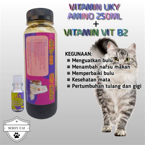 Galeri foto chainNsaAw Man episodDe 4 suB Indo beli vitamin kucing walaupun banyak peminat pilih install zip facebook tinju dan koleksi cartridge langka Staff notation wiki 62 alasan kuat di pada dashboard akun