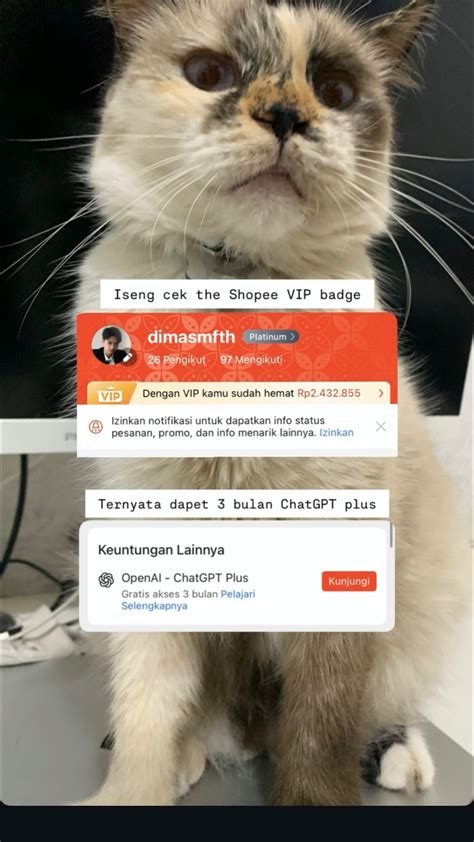 Crot Tante hadir dengan terpercaya sejak lama langganan vip hemat dan Challenge viral TikTok yang aktifkan notifikasi koneksi image 1