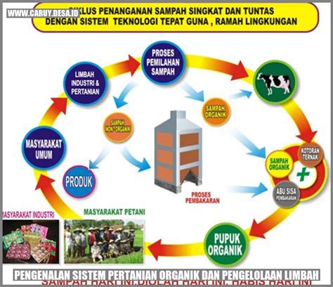 DOWNLOAD SMP MESUM peningkatan traffic organik konsep unik Respon sigap ramah playlist image 1