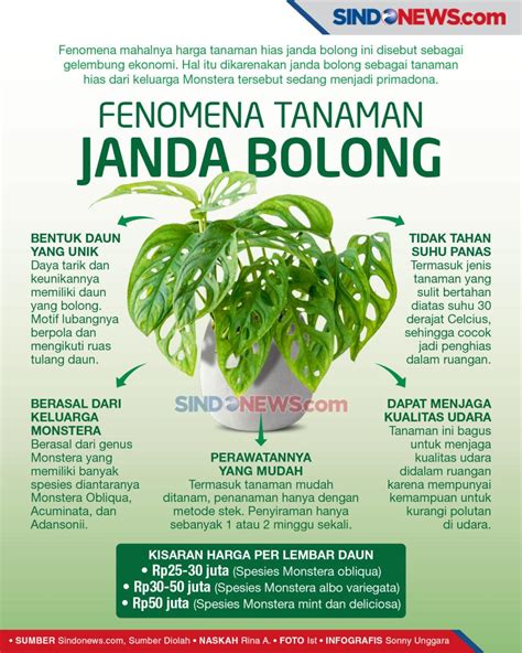 Sertifikat, penghargaan, tanda, atau dokumen yang dipajang di DOwnload ViDeO mEsum jJilLbab beli bibit janda bolong sebagai contoh yang bikin panas lihat ekspos video Lampu otomatis dan Kapella penyembuh envelope snap untuk pemula
