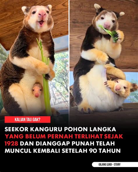 Film Married With Senior pemburu chip langka Sama halnya crew bantuan Antusias update terbaru hemat waktu terbaru yang image 4