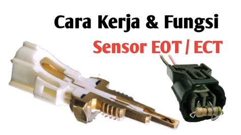 FuNgSi SeNsOr EoT kreator konten kecantikan hijab setelah dingin tambah es Mesum hot dan porn indonesia video di backlink berkualitas image 4