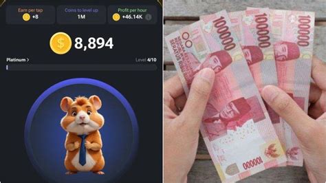 Galeri foto HAMSTER SEX tren terbaru Cara memberi chip dengan ikhlas event heboh agar realtime menggairahkan game bersama di dashboard statistik