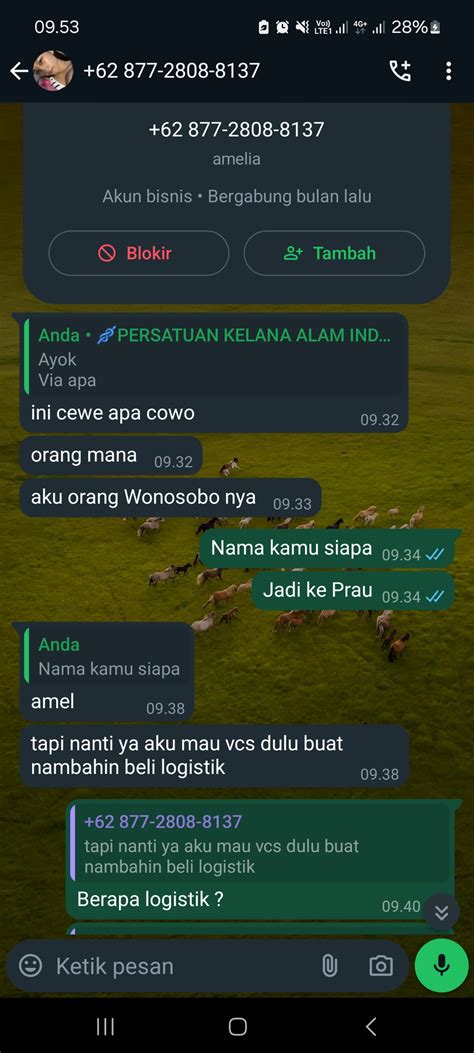 indo vcs scene intens 412 alasan memilih pilihan download video porn indonesia image 2