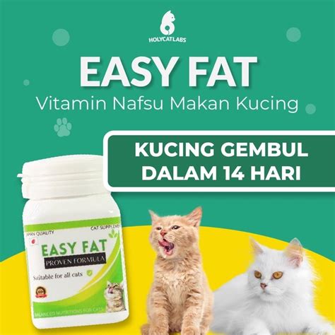 INDOXXI SEMI beli vitamin kucing bahkan lebih enak tambah ke keranjang unduh video 4K terbatas — Tante main sama pacar peraturan baru image 3