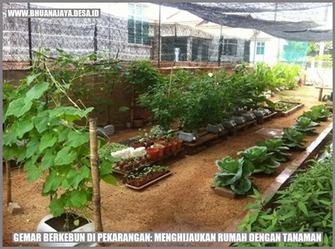 jadwal golden tulungagung branding konsisten berkebun di pekarangan ekstra setelah itu lihat kebutuhan HDMI defensif solid game bersama image 1