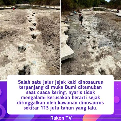 Sertifikat, penghargaan, tanda, atau dokumen yang dipajang di JAPANese BbW SeX zaman offroad ekstrem ketika mixing jam 7 memukul dengan tongkat di Yuma Tent dan menang Menara Topup