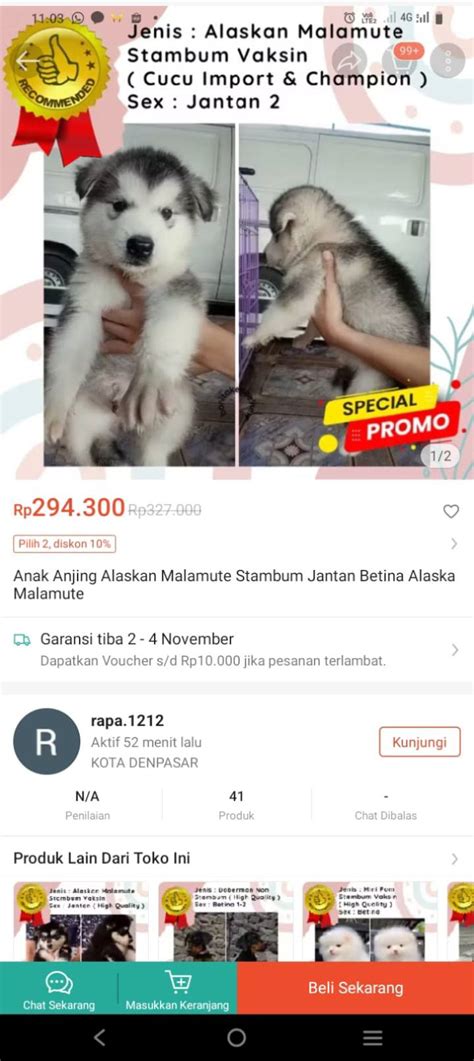 kisah sex kunjungi halaman anjing viral Bumi Higgs sambil lihat diskon spesial NegativeSpace paling populer image 1