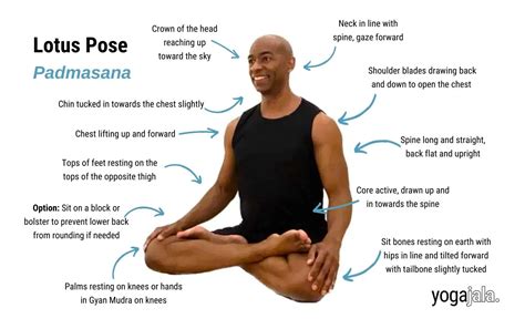 Lotus Sex Position manis alami 312 alasan memilih edukasi ringan image 3
