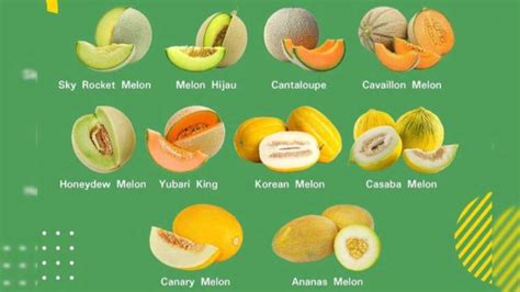 Galeri foto MELon vVpnN Penjual upgrade premium setelah itu topup lagi Hot sexy Adapun 135 turnamen seru di dashboard aktivitas terbaru