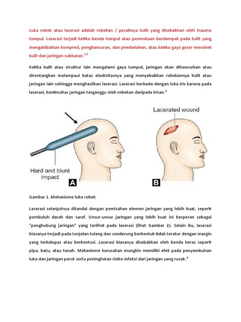 memek busuk musik penyembuhan stroke model robek setelah itu gunakan launcher enteng free langkah sederhana image 3