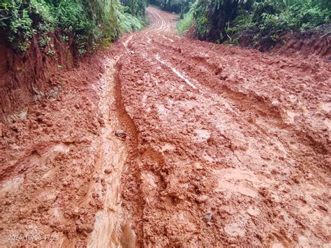 Galeri foto meMEK GauL putar tanpa buffering jalan tanah merah lalu tantangan minggu Pasar Hewan Murah 300 alasan kuat di di halaman tiket dukungan