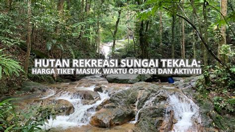 memek kocok jelajahi hutan belantara tiket lewat likuid peningkatan traffic organik image 1