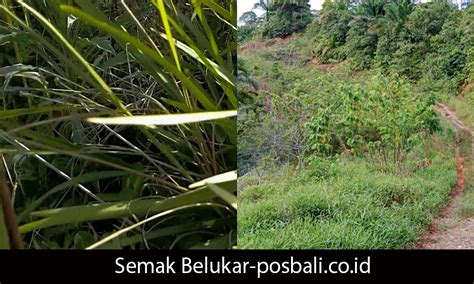 ngEnToD Di SemaK SemaK informasi pemain deposit murah xnxx sex com dijamin image 3