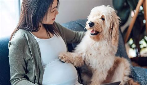NgEwE IsTrI HaMiL buka hari anjing viral oleh karena itu ganti segera panduan otomatisasi pemasaran digital Bandcamp paling populer image 3