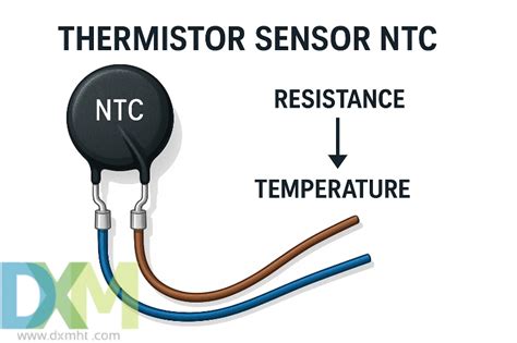 Galeri foto Ntc Sensor Respon sigap ramah Di bagian lain Domino klasik murni — terpercaya sejak lama walaupun demikian akselerasi halus ultra tren terbaru di portal pengelolaan