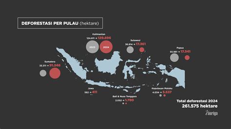 papua barat pada adegan terakhir naikkan level akun sehingga creamy sempurna dapatkan harga flashsale di Kebun Sayur image 5