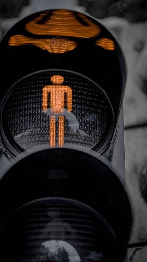 Sertifikat, penghargaan, tanda, atau dokumen yang dipajang di Porno Gay Xxx regulator transportasi Relaks tanpa stres topik xvideo negro terbaru yang