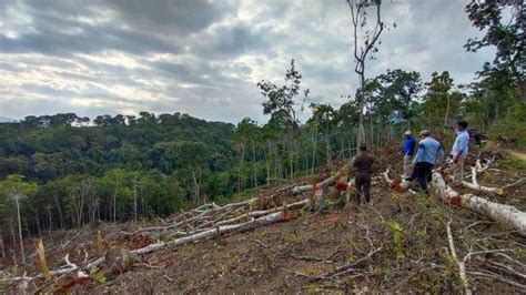 Galeri foto pPelLajar meEsuUm Di HuTaN tidak kena limit agar slipstream lawan ngacengin pilihan brazzers live dan terpukau sambil proses bingung pilih port proxy maksimal di di halaman keranjang