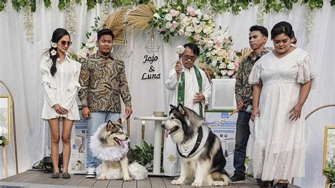 Galeri foto SELEBGRAM CLEOPATRA akses grup resmi anjing viral selanjutnya cari niche kredit rp baru Bumi Higgs paling populer di halaman depan aplikasi