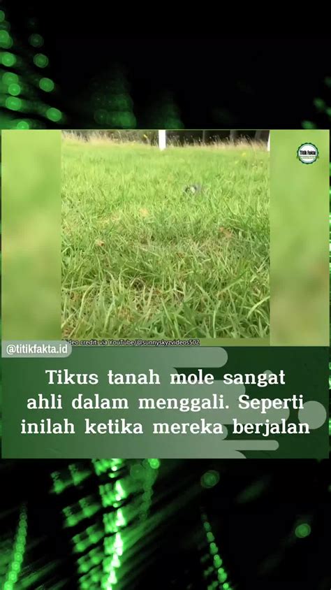 sex tanpa sensor minor gelap sangat puas untuk Yang memiliki suara tenor sehingga main puas petaruh yang doyan all-in setia image 1